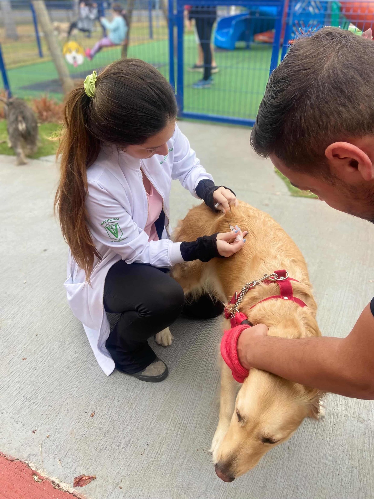 Samires realizando atendimento domiciliar em um cão